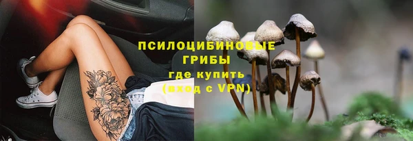 дурь Алексин