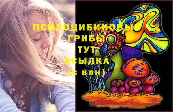 дурь Алексин
