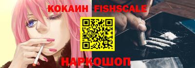 шишки Изобильный