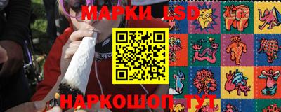 шишки Изобильный