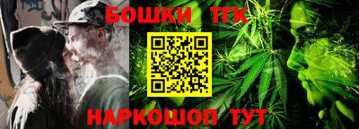 шишки Изобильный