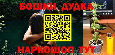 шишки Изобильный