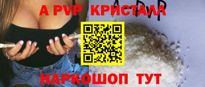 шишки Изобильный