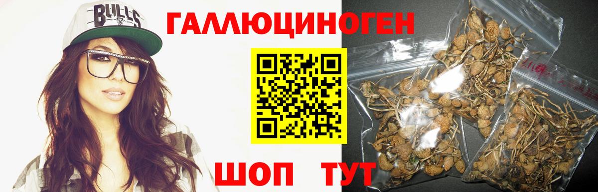 Новороссийск  Псилоцибиновые грибы ЛСД  хочу   Псилоцибиновые грибы Psilocybine cubensis  Вход с VPN 